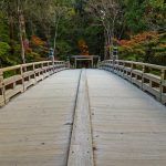 伊勢神宮はなぜ注目されるのか